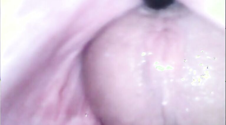 fucking my wife with a camera inside her vagina